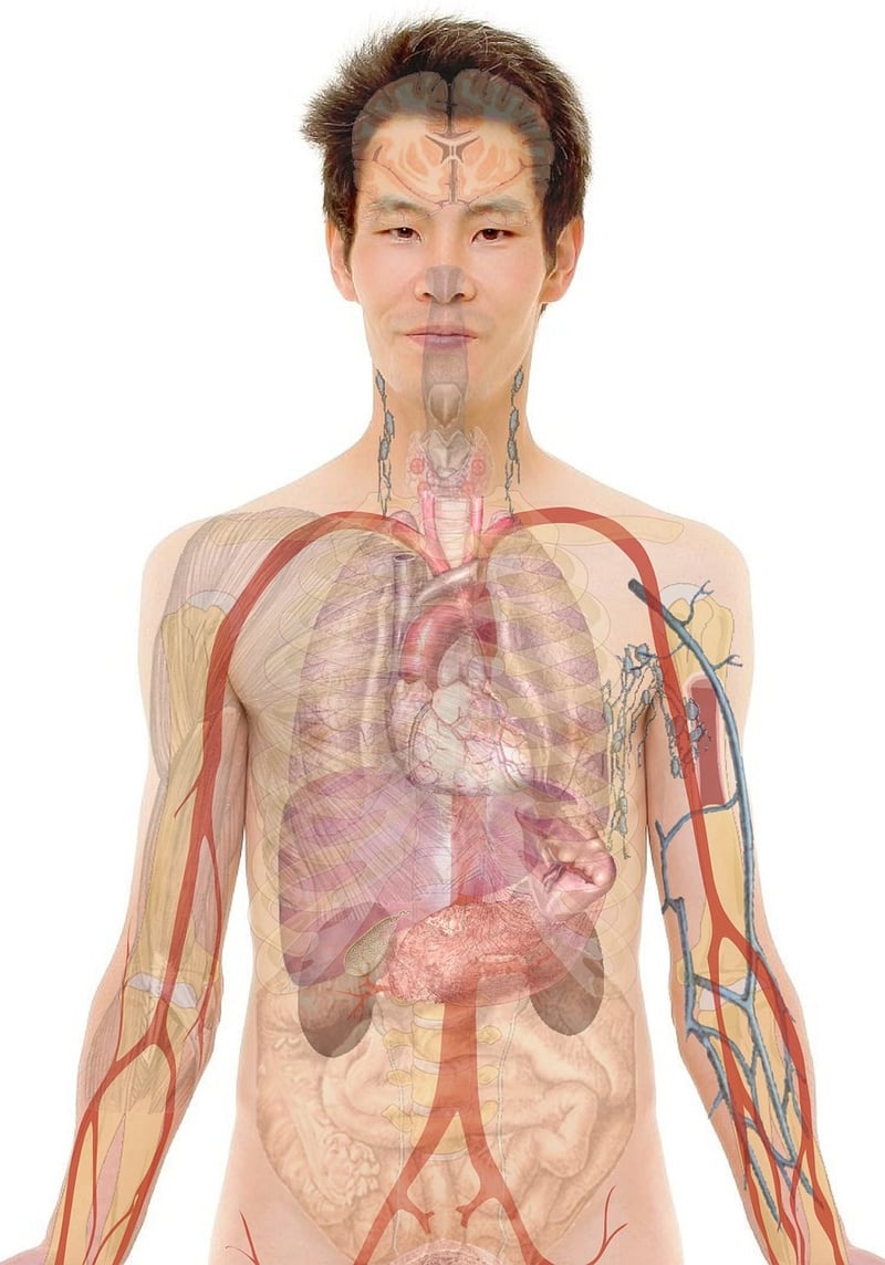 Neurostimulation Techniques