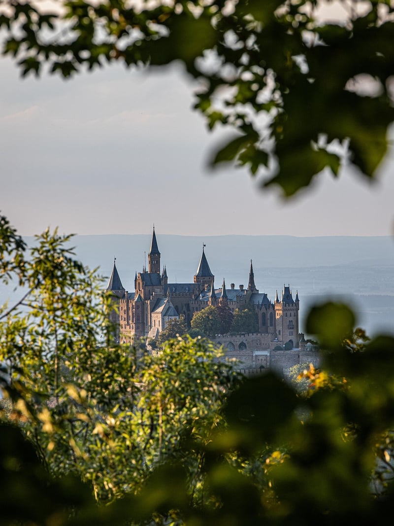 Medieval World